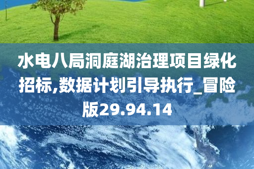 水电八局洞庭湖治理项目绿化招标,数据计划引导执行_冒险版29.94.14