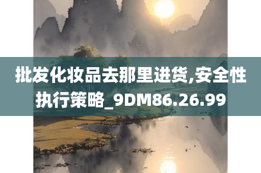 批发化妆品去那里进货,安全性执行策略_9DM86.26.99