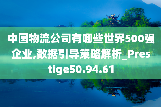 中国物流公司有哪些世界500强企业,数据引导策略解析_Prestige50.94.61