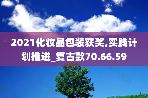 2021化妆品包装获奖,实践计划推进_复古款70.66.59