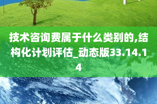 技术咨询费属于什么类别的,结构化计划评估_动态版33.14.14