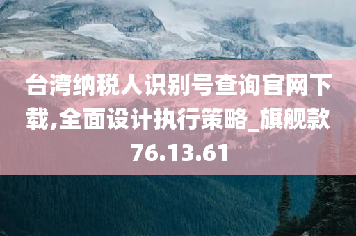 台湾纳税人识别号查询官网下载,全面设计执行策略_旗舰款76.13.61