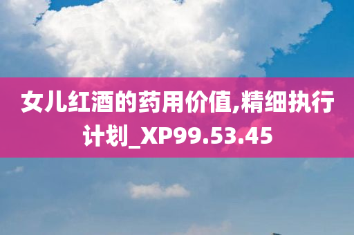 女儿红酒的药用价值,精细执行计划_XP99.53.45