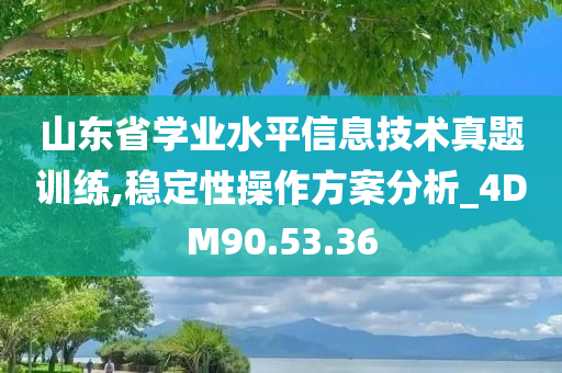 山东省学业水平信息技术真题训练,稳定性操作方案分析_4DM90.53.36