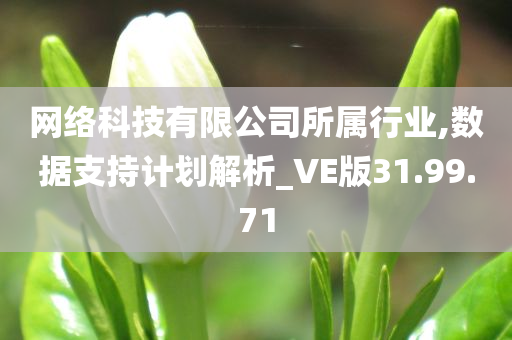 网络科技有限公司所属行业,数据支持计划解析_VE版31.99.71