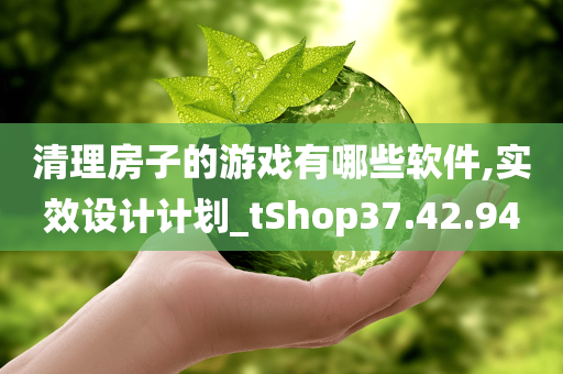 清理房子的游戏有哪些软件,实效设计计划_tShop37.42.94