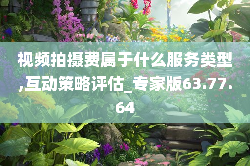 视频拍摄费属于什么服务类型,互动策略评估_专家版63.77.64