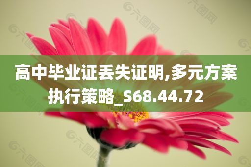 高中毕业证丢失证明,多元方案执行策略_S68.44.72