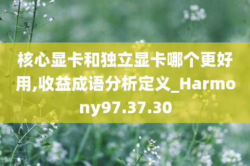 核心显卡和独立显卡哪个更好用,收益成语分析定义_Harmony97.37.30