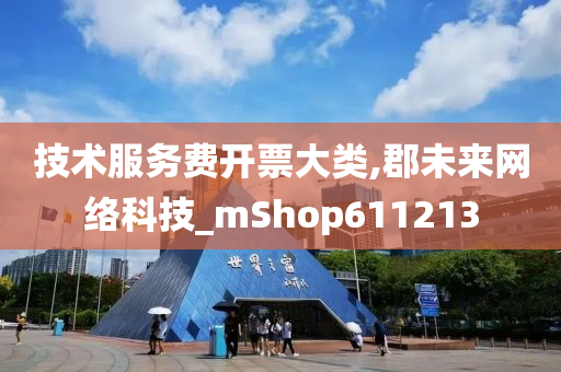 技术服务费开票大类,郡未来网络科技_mShop611213