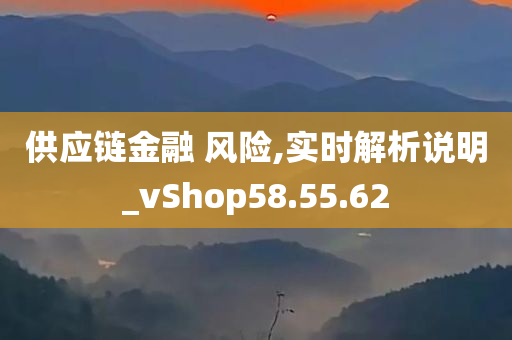 供应链金融 风险,实时解析说明_vShop58.55.62