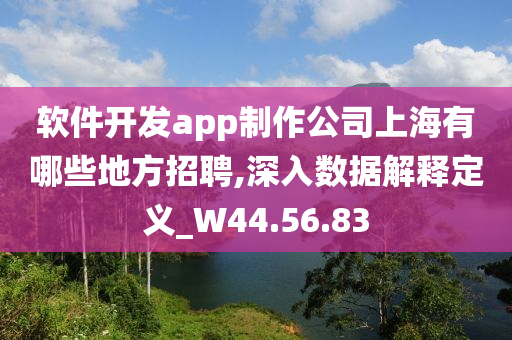 软件开发app制作公司上海有哪些地方招聘,深入数据解释定义_W44.56.83