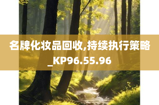 名牌化妆品回收,持续执行策略_KP96.55.96