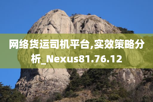 网络货运司机平台,实效策略分析_Nexus81.76.12