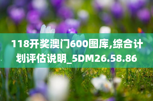 118开奖澳门600图库,综合计划评估说明_5DM26.58.86