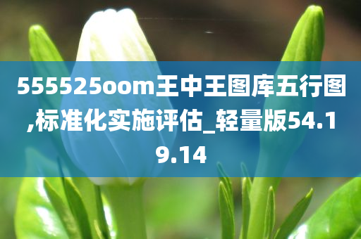 555525oom王中王图库五行图,标准化实施评估_轻量版54.19.14