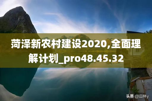 菏泽新农村建设2020,全面理解计划_pro48.45.32