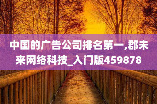 中国的广告公司排名第一,郡未来网络科技_入门版459878