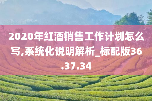 2020年红酒销售工作计划怎么写,系统化说明解析_标配版36.37.34