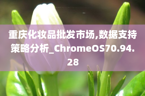 重庆化妆品批发市场,数据支持策略分析_ChromeOS70.94.28