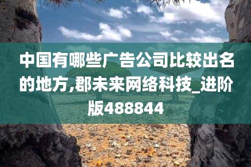 中国有哪些广告公司比较出名的地方,郡未来网络科技_进阶版488844