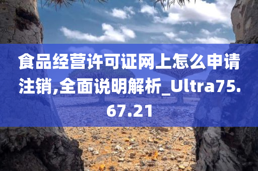 食品经营许可证网上怎么申请注销,全面说明解析_Ultra75.67.21