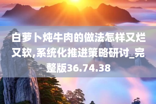 白萝卜炖牛肉的做法怎样又烂又软,系统化推进策略研讨_完整版36.74.38