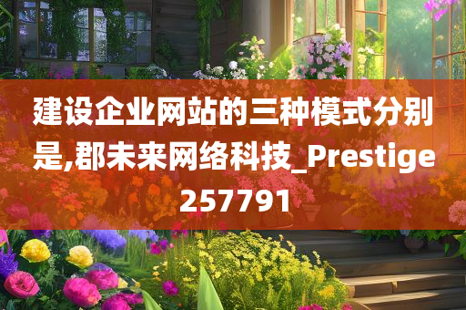 建设企业网站的三种模式分别是,郡未来网络科技_Prestige257791