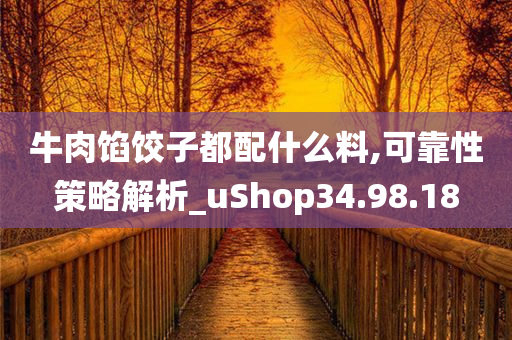 牛肉馅饺子都配什么料,可靠性策略解析_uShop34.98.18