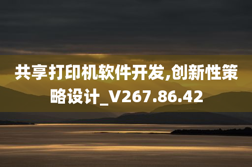 共享打印机软件开发,创新性策略设计_V267.86.42