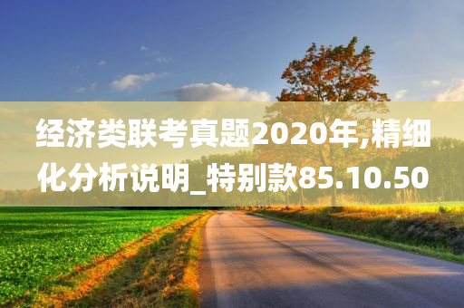 经济类联考真题2020年,精细化分析说明_特别款85.10.50