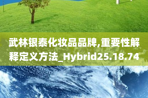 武林银泰化妆品品牌,重要性解释定义方法_Hybrid25.18.74