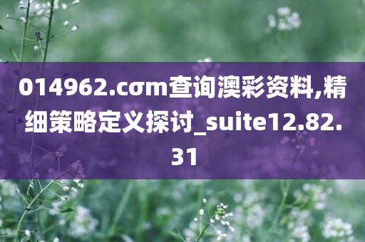 014962.cσm查询澳彩资料,精细策略定义探讨_suite12.82.31