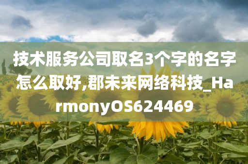 技术服务公司取名3个字的名字怎么取好,郡未来网络科技_HarmonyOS624469