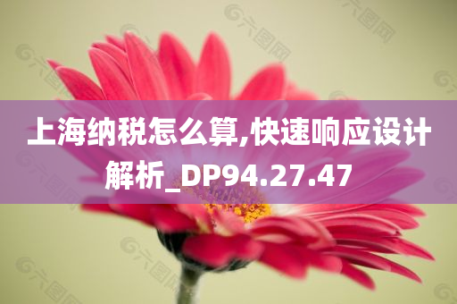 上海纳税怎么算,快速响应设计解析_DP94.27.47