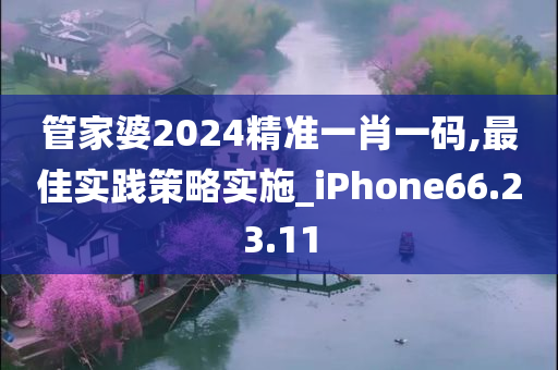 管家婆2024精准一肖一码,最佳实践策略实施_iPhone66.23.11