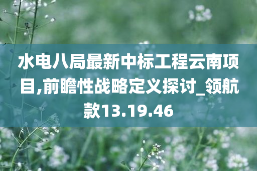 水电八局最新中标工程云南项目,前瞻性战略定义探讨_领航款13.19.46