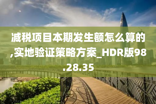 减税项目本期发生额怎么算的,实地验证策略方案_HDR版98.28.35