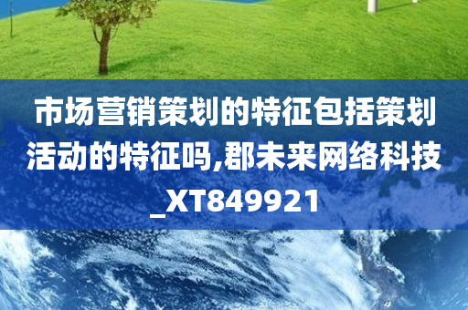 市场营销策划的特征包括策划活动的特征吗,郡未来网络科技_XT849921