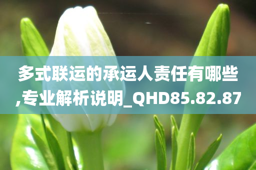 多式联运的承运人责任有哪些,专业解析说明_QHD85.82.87