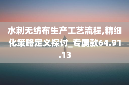 水刺无纺布生产工艺流程,精细化策略定义探讨_专属款64.91.13