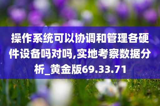 操作系统可以协调和管理各硬件设备吗对吗,实地考察数据分析_黄金版69.33.71