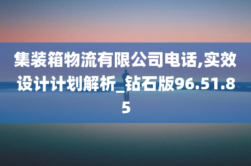 集装箱物流有限公司电话,实效设计计划解析_钻石版96.51.85