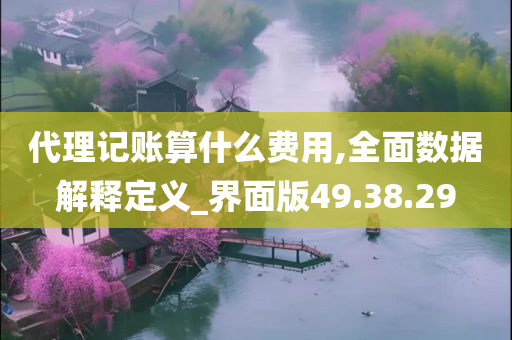 代理记账算什么费用,全面数据解释定义_界面版49.38.29