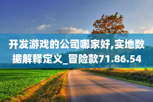 开发游戏的公司哪家好,实地数据解释定义_冒险款71.86.54