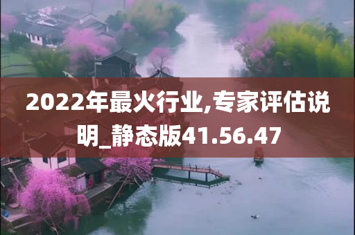 2022年最火行业,专家评估说明_静态版41.56.47