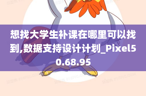 想找大学生补课在哪里可以找到,数据支持设计计划_Pixel50.68.95