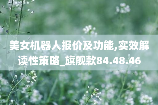 美女机器人报价及功能,实效解读性策略_旗舰款84.48.46