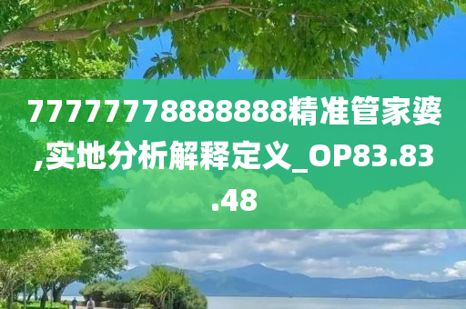 77777778888888精准管家婆,实地分析解释定义_OP83.83.48