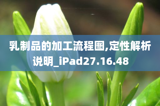 乳制品的加工流程图,定性解析说明_iPad27.16.48